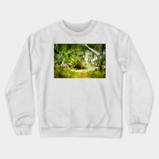 Frogger Crewneck Sweatshirt